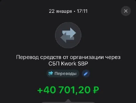 Скрин оплаты: +40 701,20 ₽