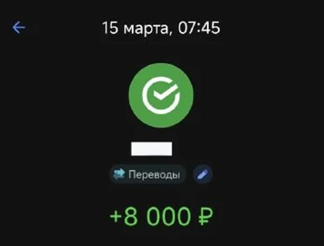 Скрин оплаты: +8 000 ₽
